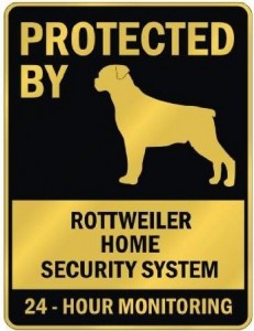 how much is a rottweiler worth rottweiler archives stuff with animals how much is a rottweiler worth rottweiler archives stuff with animals