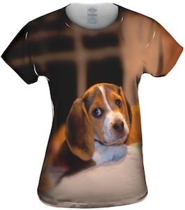 Beagle women's t-shirt
