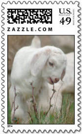 Baby Goat Postage Stamp